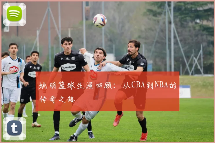 姚明篮球生涯回顾：从CBA到NBA的传奇之路