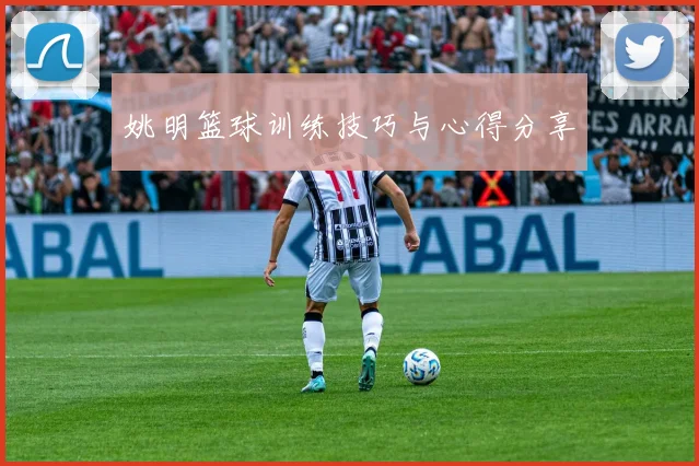 姚明篮球训练技巧与心得分享