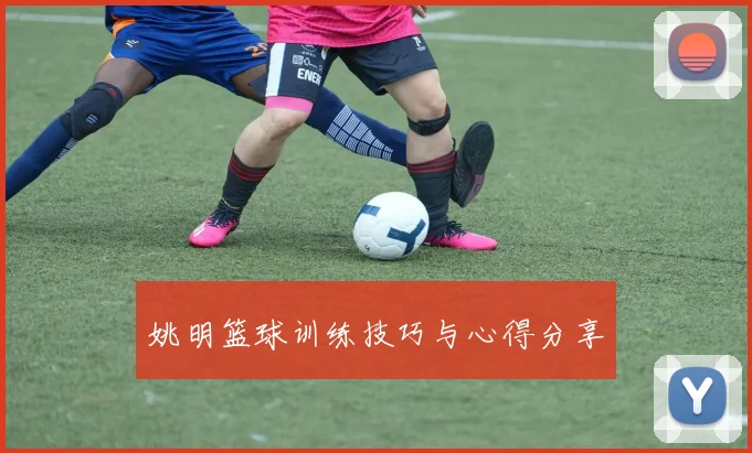 姚明篮球训练技巧与心得分享